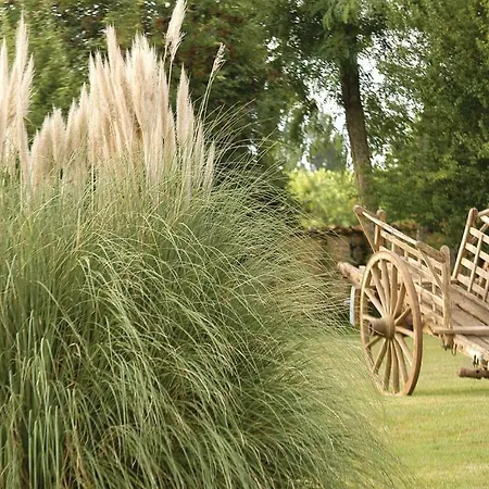 Three-bedroom Holiday With A Fireplace In